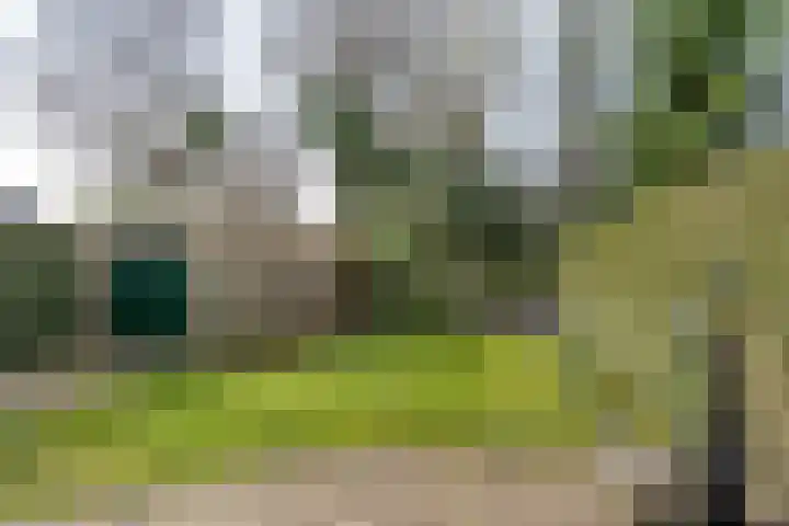 Dianastraat 48 Berlicum thumbnail 27