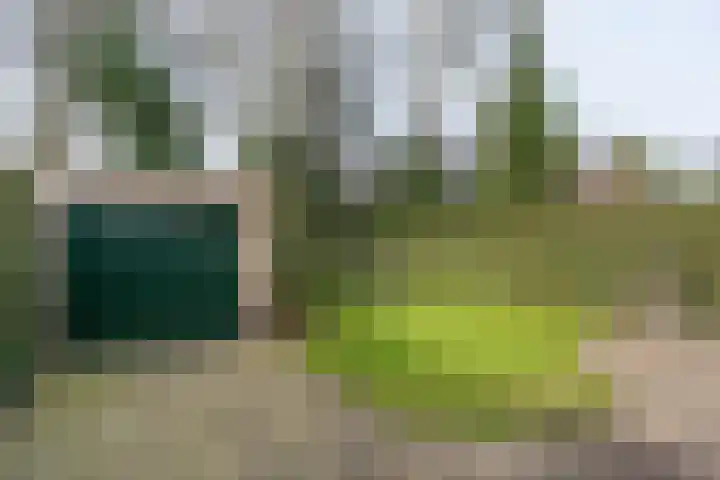 Dianastraat 48 Berlicum thumbnail 28