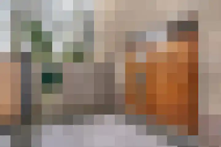 Dianastraat 48 Berlicum thumbnail 29