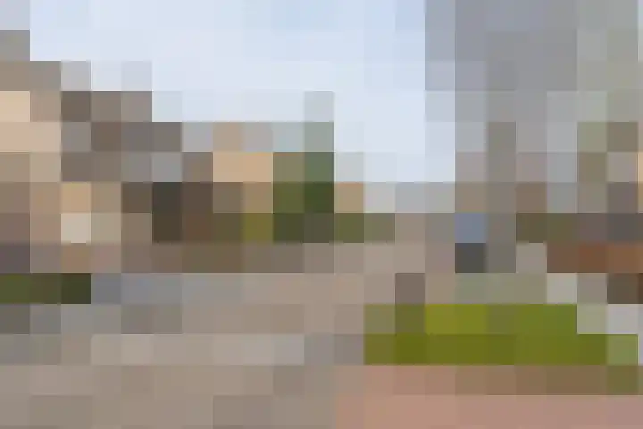 Dianastraat 48 Berlicum thumbnail 30