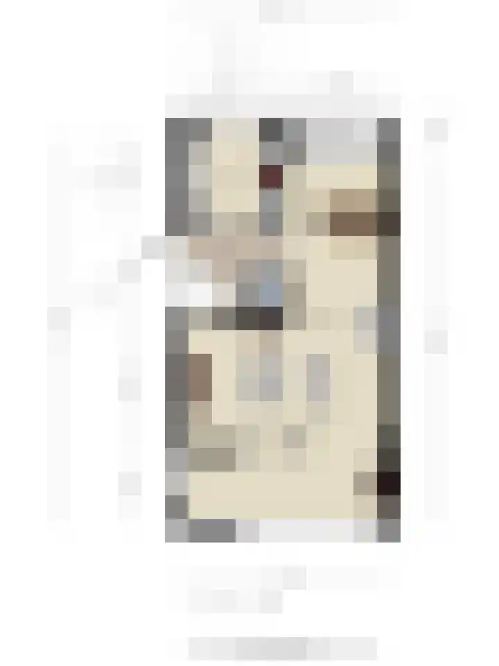 Dianastraat 48 Berlicum thumbnail 31