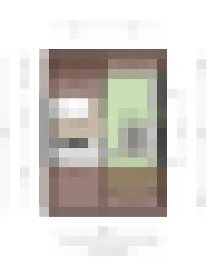 Dianastraat 48 Berlicum thumbnail 33