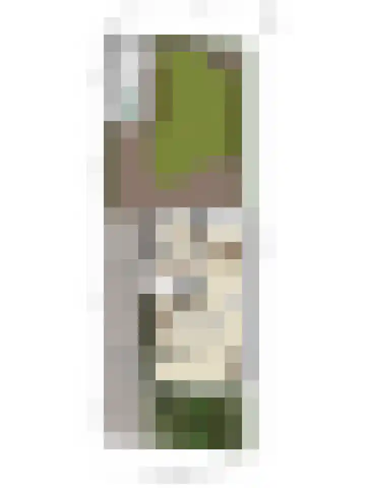 Dianastraat 48 Berlicum thumbnail 35