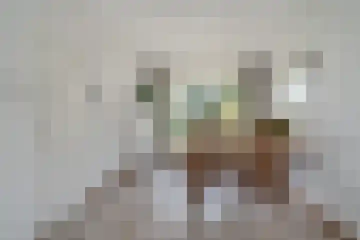 Dianastraat 48 Berlicum thumbnail 8