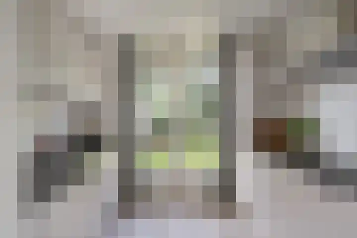 Dianastraat 48 Berlicum thumbnail 9