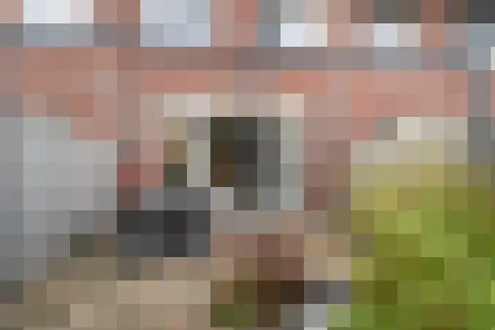 Dianastraat 6 Naaldwijk thumbnail 12