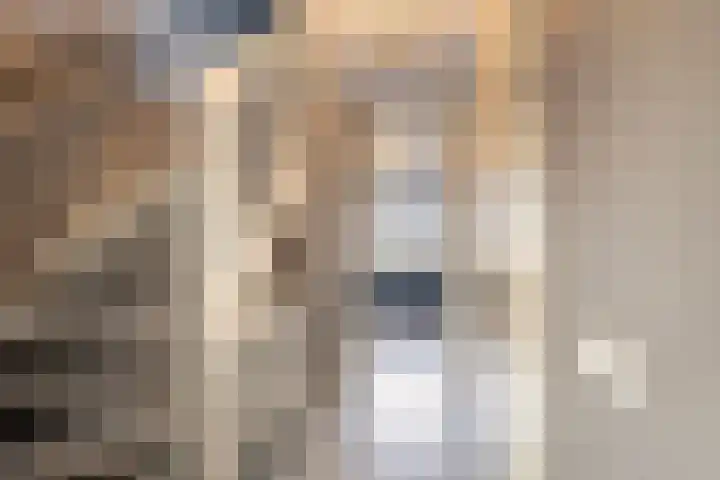 Dianastraat 6 Naaldwijk thumbnail 16