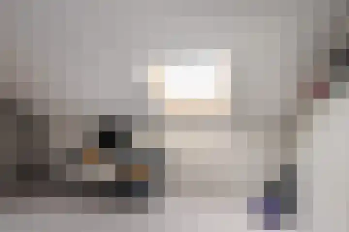 Dianastraat 6 Naaldwijk thumbnail 31
