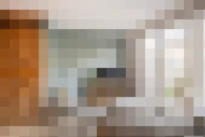 Dianastraat 6 Naaldwijk thumbnail 6