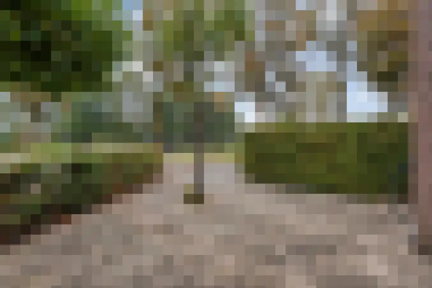 Diasporalaan 44 Zwolle thumbnail 31