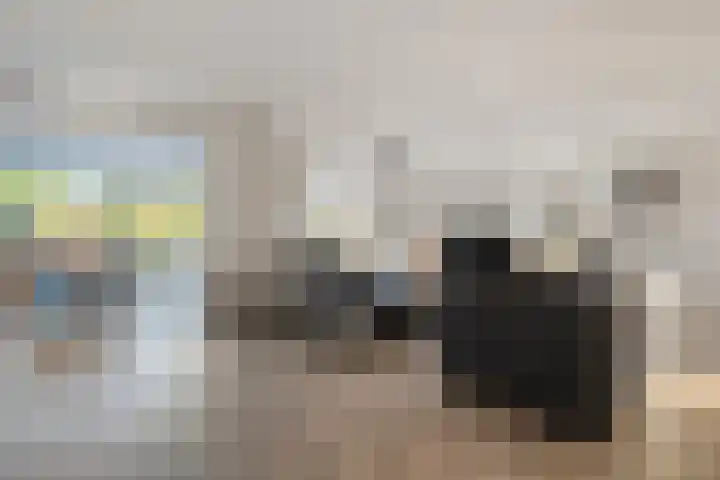 Diasporalaan 5 Zwolle thumbnail 10