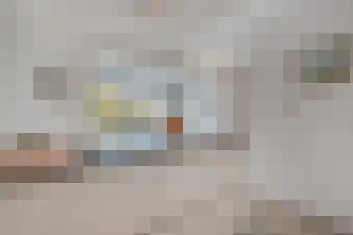 Diasporalaan 5 Zwolle thumbnail 18