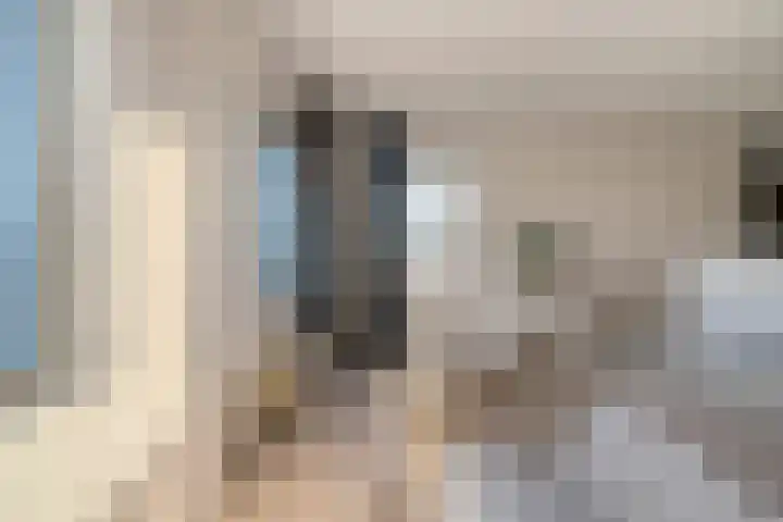 Diasporalaan 5 Zwolle thumbnail 24