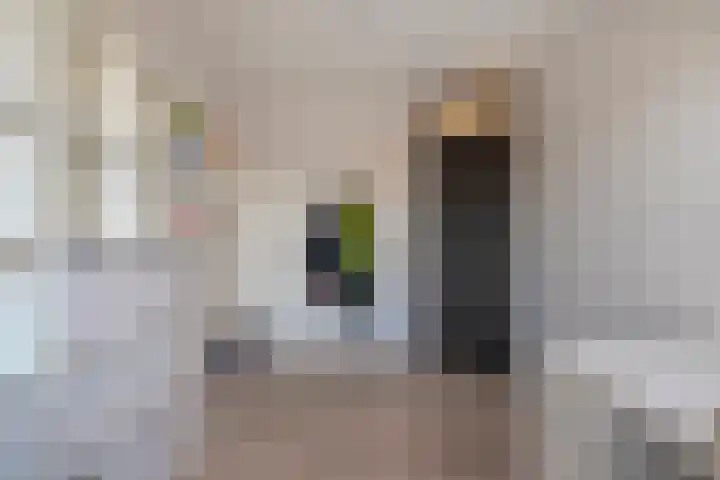 Diasporalaan 5 Zwolle thumbnail 27
