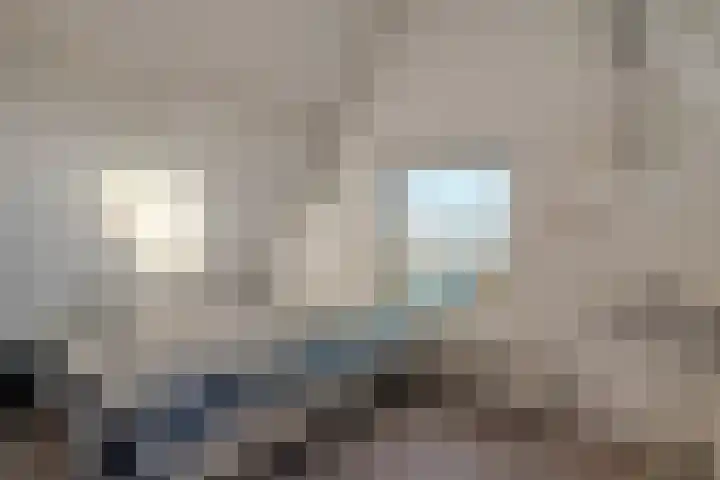 Diasporalaan 5 Zwolle thumbnail 36