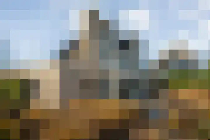 Diasporalaan 5 Zwolle thumbnail 39
