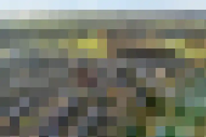 Diasporalaan 5 Zwolle thumbnail 4