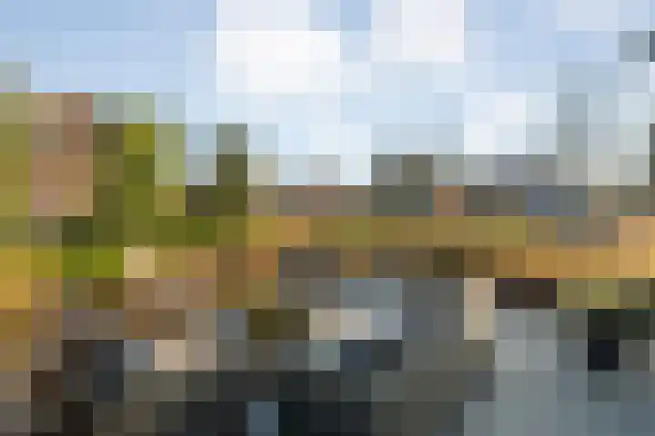 Diasporalaan 5 Zwolle thumbnail 40