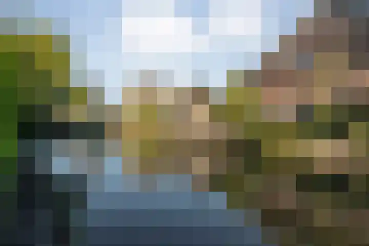 Diasporalaan 5 Zwolle thumbnail 42