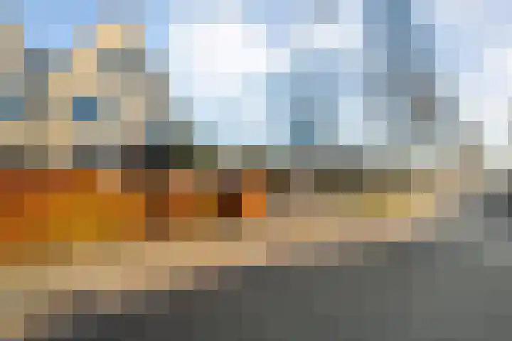 Diasporalaan 5 Zwolle thumbnail 44