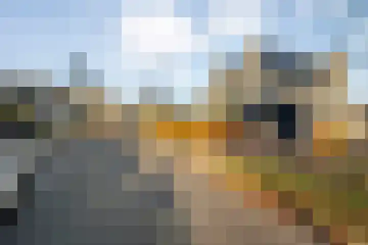 Diasporalaan 5 Zwolle thumbnail 45