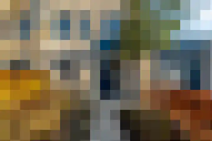 Diasporalaan 5 Zwolle thumbnail 5