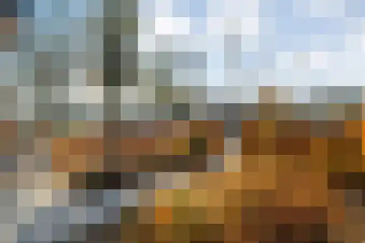 Diasporalaan 5 Zwolle thumbnail 7
