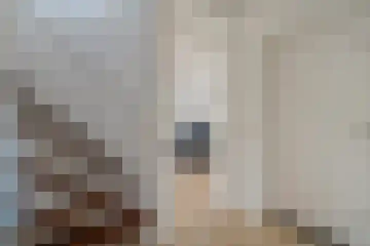 Diasporalaan 5 Zwolle thumbnail 9