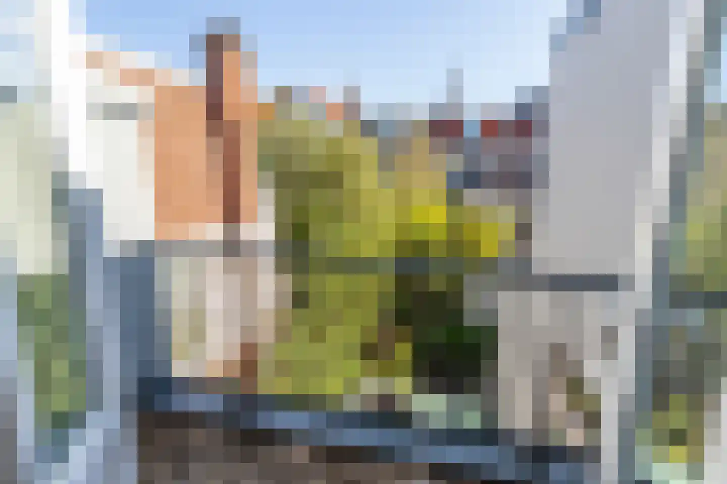 Dibbetsstraat 113 Den Haag thumbnail 15