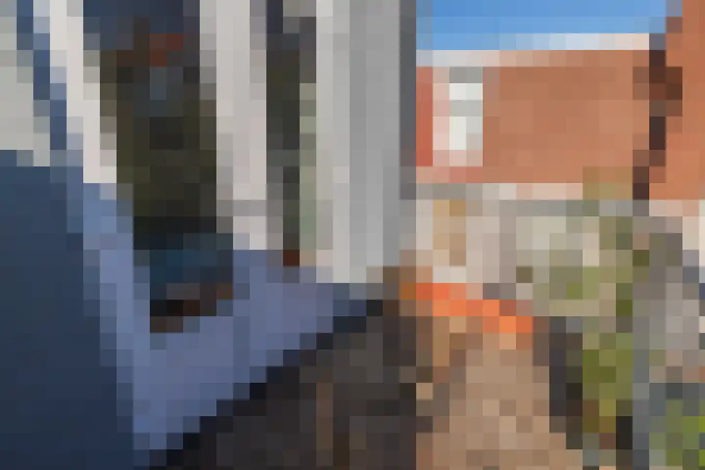 Dibbetsstraat 113 Den Haag thumbnail 18