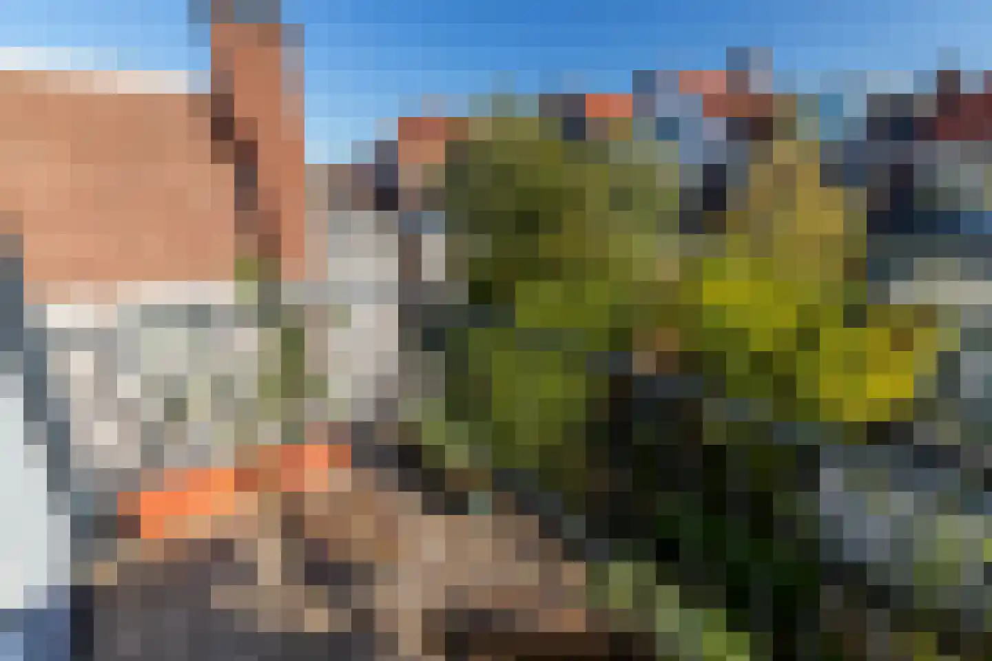 Dibbetsstraat 113 Den Haag thumbnail 19