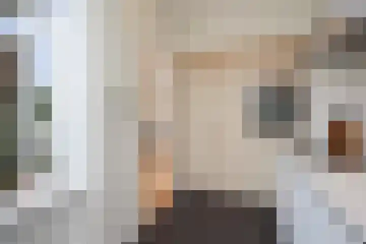 Dibbetsstraat 24 Den Haag thumbnail 21