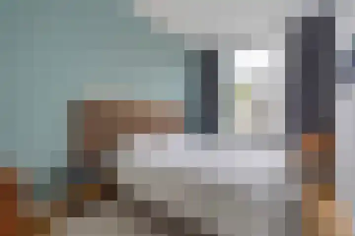 Dibbetsstraat 24 Den Haag thumbnail 22