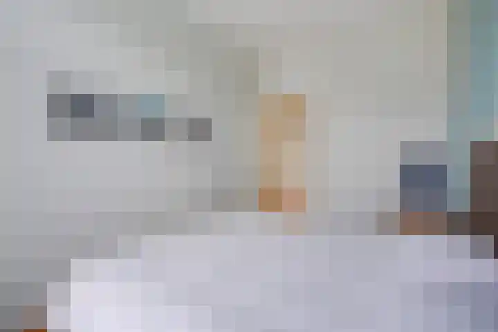 Dibbetsstraat 24 Den Haag thumbnail 23