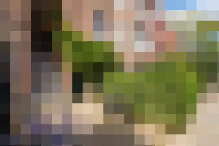 Dibbetsstraat 24 Den Haag thumbnail 31