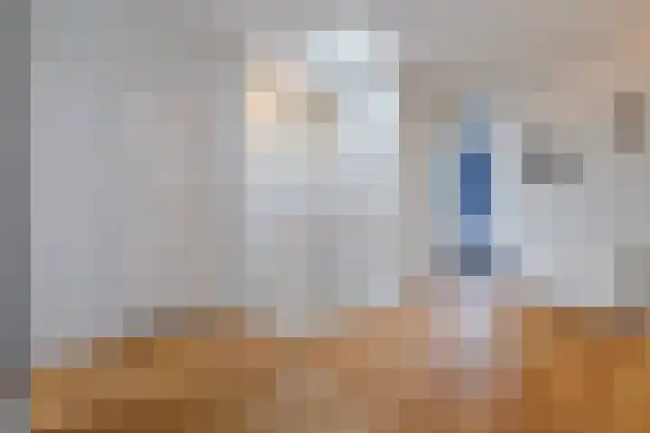 Dibbetsstraat 24 Den Haag thumbnail 6