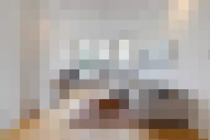 Dibbetsstraat 24 Den Haag thumbnail 7