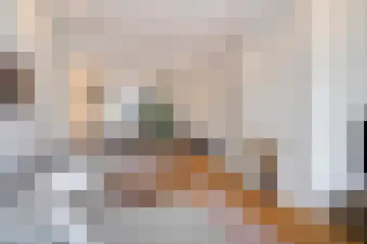 Dibbetsstraat 24 Den Haag thumbnail 9