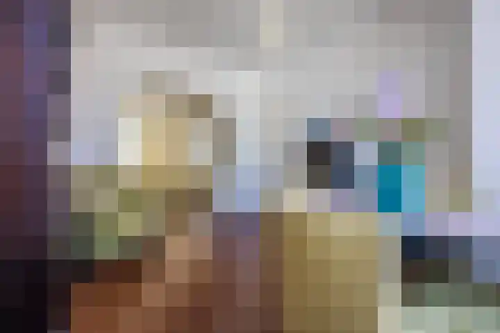 Dibbetsstraat 3 Den Haag thumbnail 16