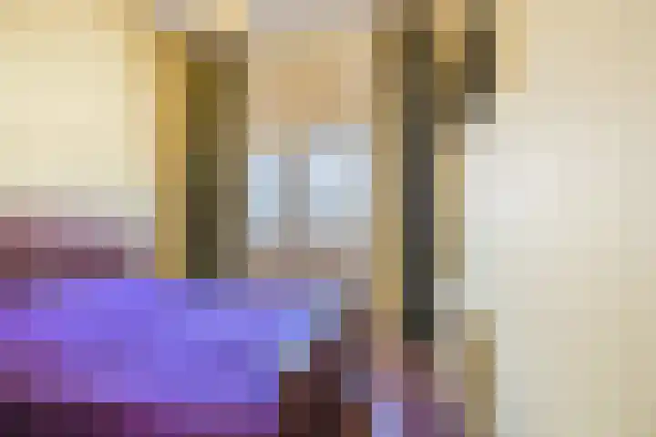 Dibbetsstraat 3 Den Haag thumbnail 26