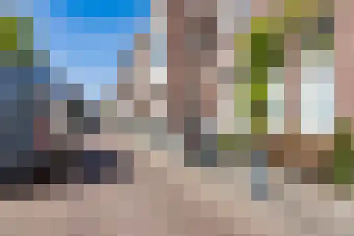 Dibbetsstraat 3 Den Haag thumbnail 32