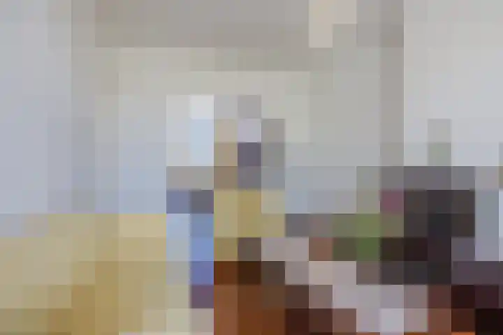 Dibbetsstraat 3 Den Haag thumbnail 8