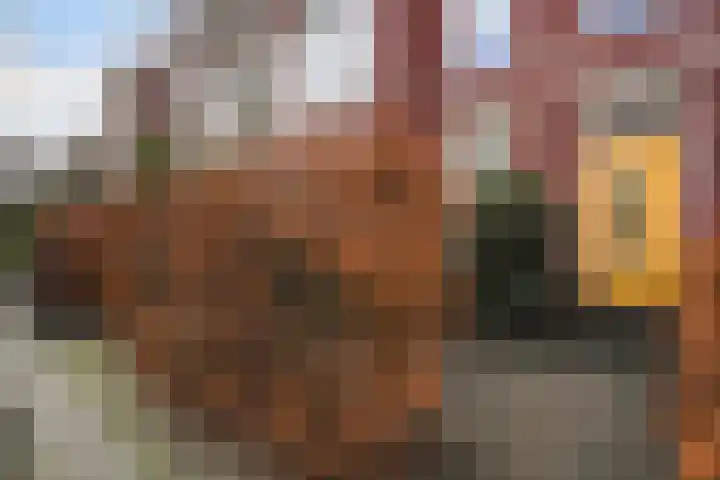 Dibbetsstraat 44 Den Haag thumbnail 10