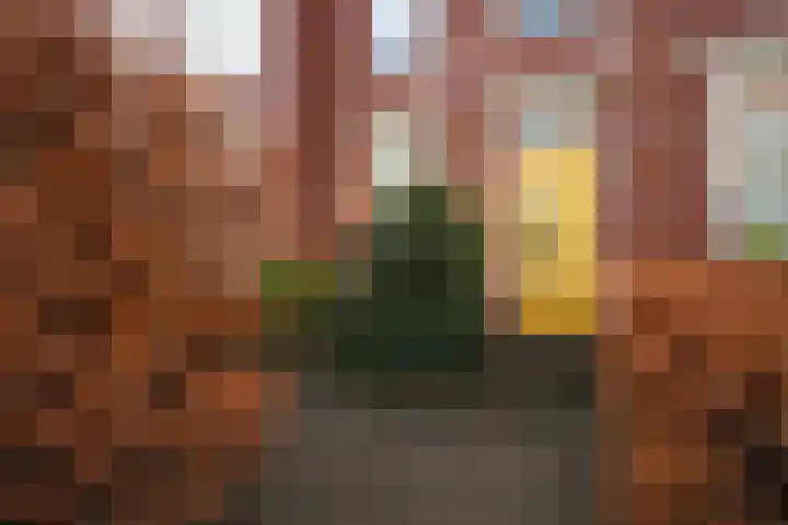 Dibbetsstraat 44 Den Haag thumbnail 11