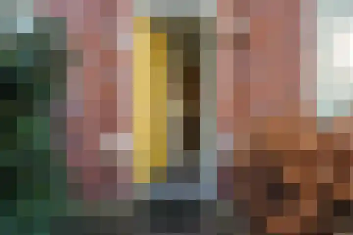 Dibbetsstraat 44 Den Haag thumbnail 12