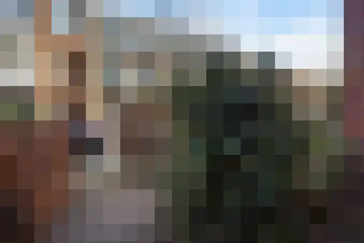Dibbetsstraat 44 Den Haag thumbnail 13