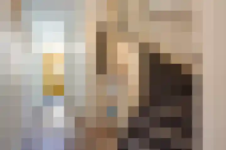 Dibbetsstraat 44 Den Haag thumbnail 15
