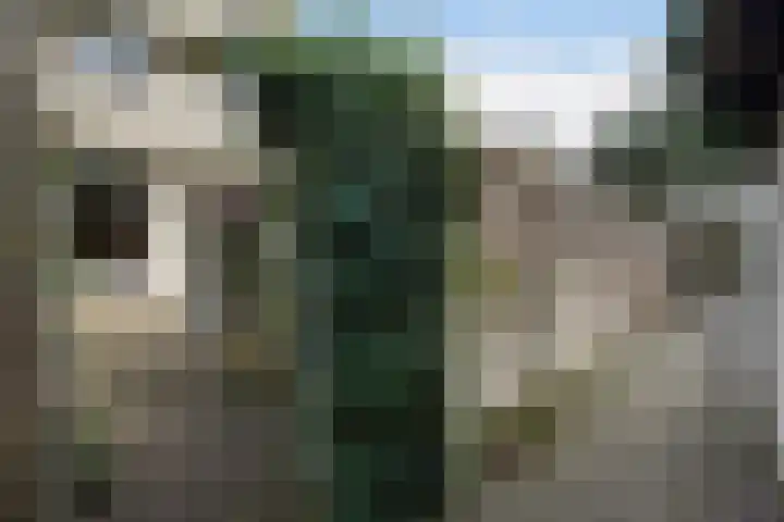 Dibbetsstraat 44 Den Haag thumbnail 31