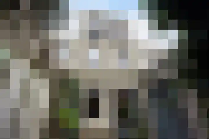 Dibbetsstraat 44 Den Haag thumbnail 32