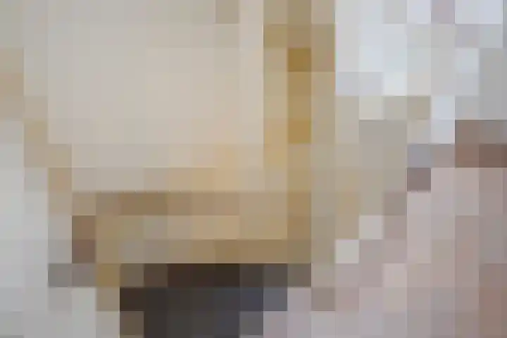 Dibbetsstraat 44 Den Haag thumbnail 35